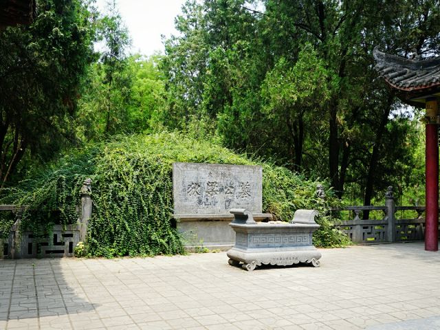 河南洛陽｜河南唯一的一所比丘尼道場
