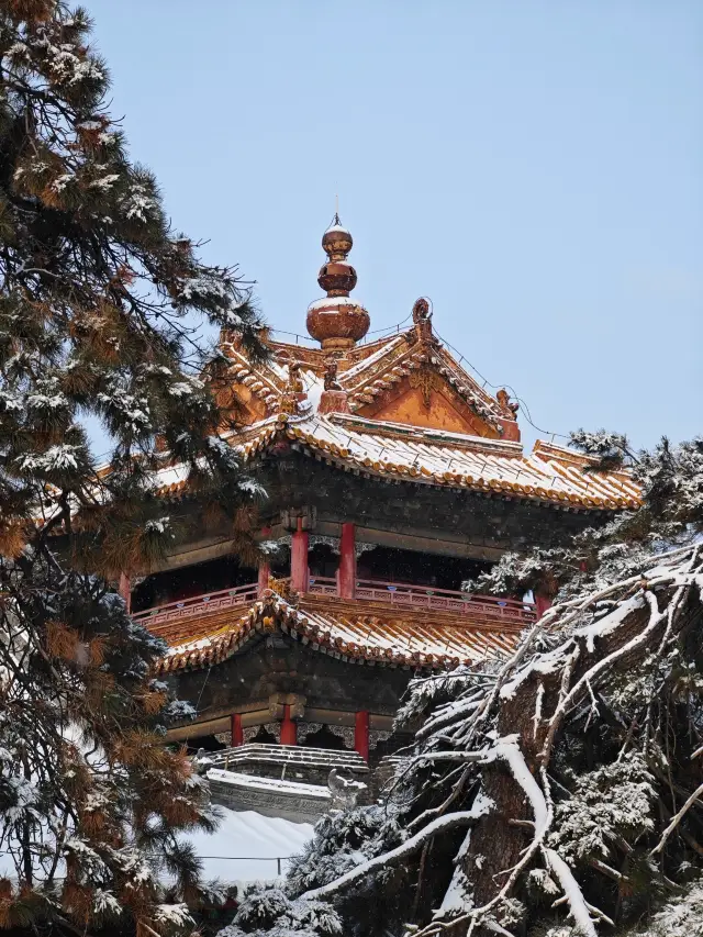 Beiling Park | A great place to go in winter that even Shenyang people don't know!