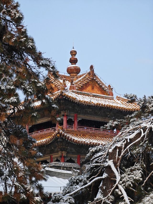 北陵公園｜沈陽人都不知道的冬天好去處！