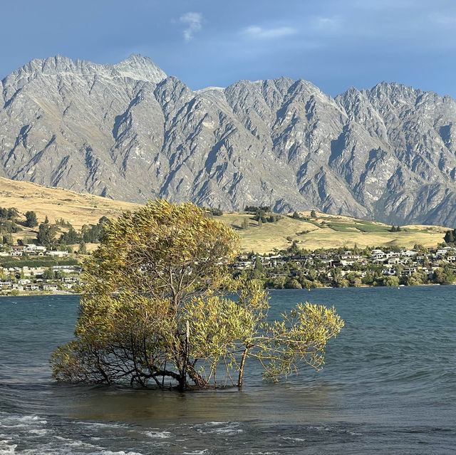 Finding Peace in Queenstown, New Zealand ☮️