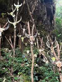 探尋少數民族文化｜神秘的原始宗教聖地——龍摩爺