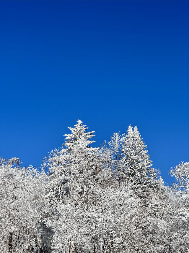 雪嶺芬蘭即視感