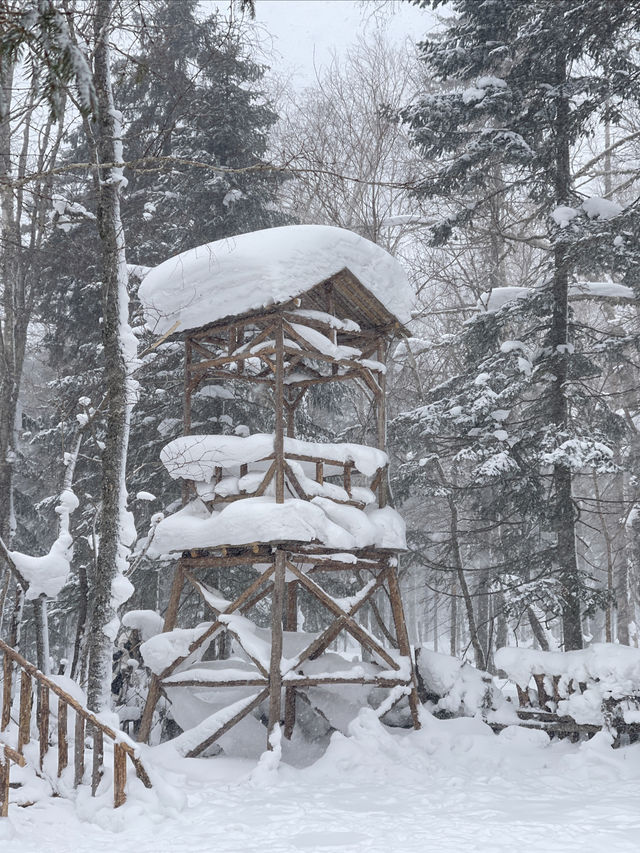 土味情話說給雪鄉聽