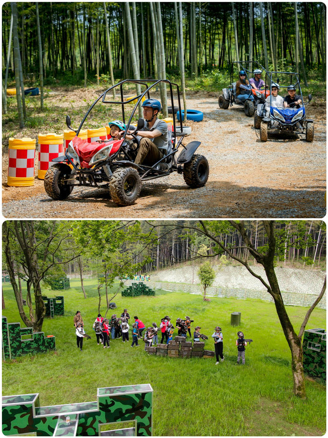 來宜興國家森林公園過大年，看金龍舞林海