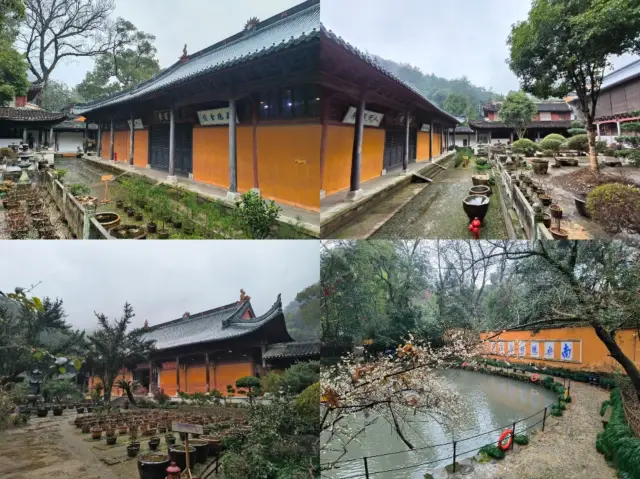 Zhejiang Culture and Tourism Bureau, you are confused not to promote Guoqing Temple