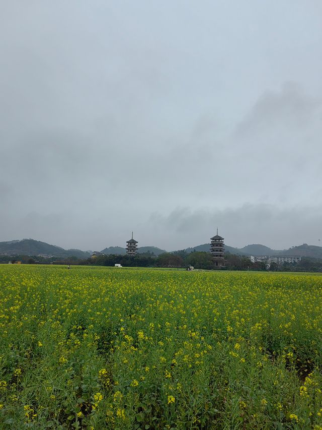 來玉林五彩田園親近大自然吧！