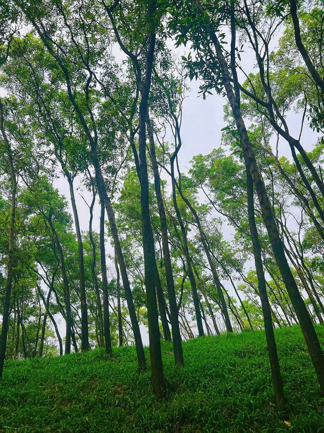 哇，南山新發現一個小公園！