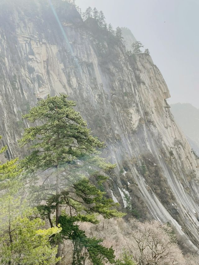 北上西下，華山拿下（有腿就行版）