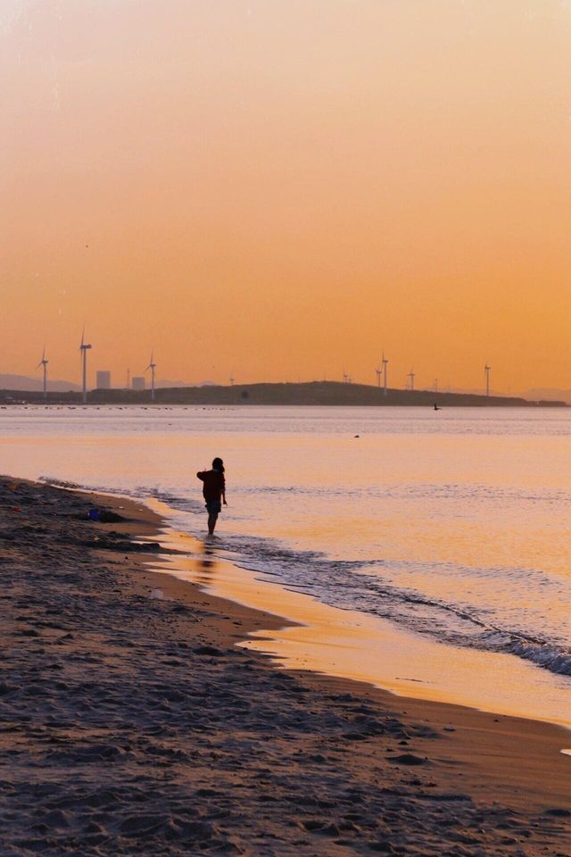 體驗威海春天的浪漫！三日遊，拍出不同的海！