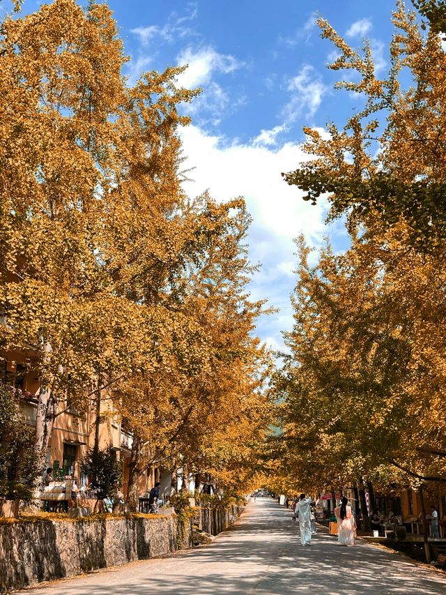 韶關帽子峰 韶關帽子峰