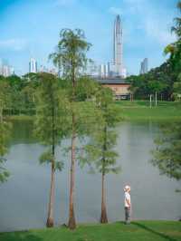 已經開始期待深圳秋天香蜜公園有點舒服