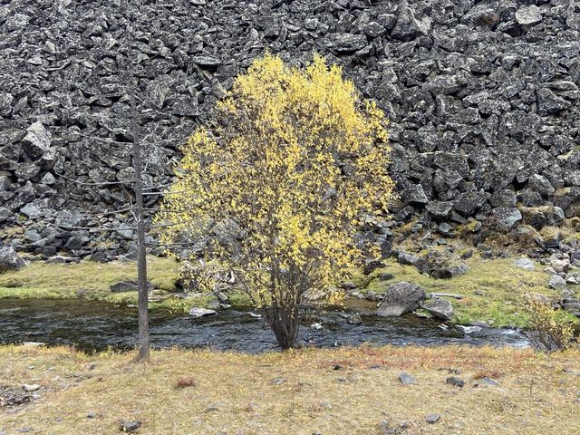 阿爾山國家森林公園