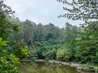 就在東莞南城，親子爬山好去處