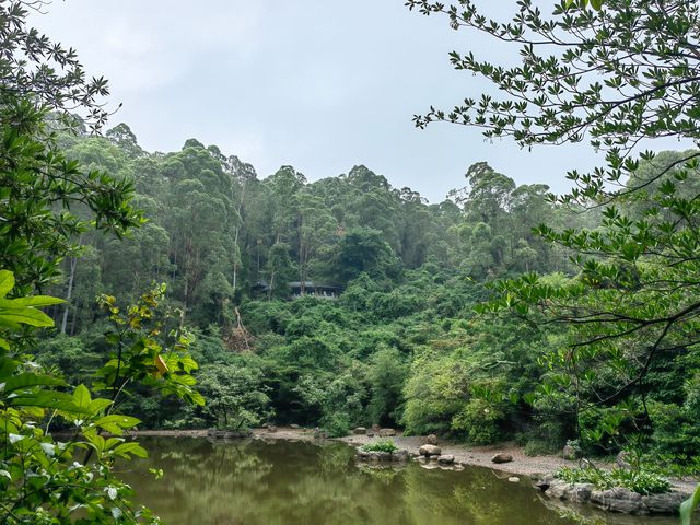 就在東莞南城，親子爬山好去處