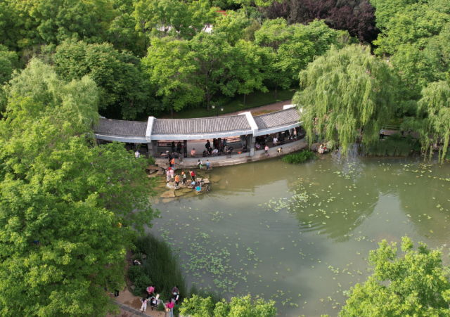 不花景點錢，在鄭州浪漫事能做哪些？