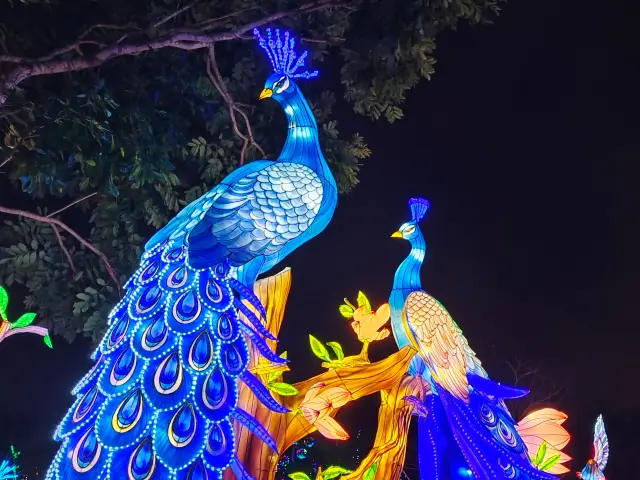 2024 Nanning Qingxiu Mountain Park Lantern Exhibition