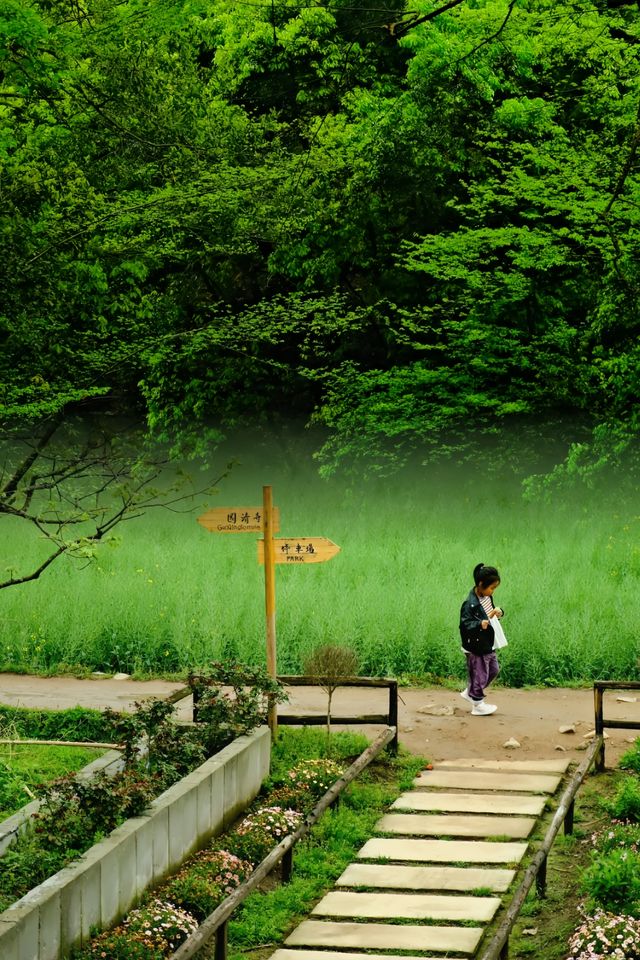 原以為靈隱寺已經很美了‖直到我去了這裡…