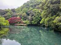 十里琅珰實拍上春山，龍井問茶