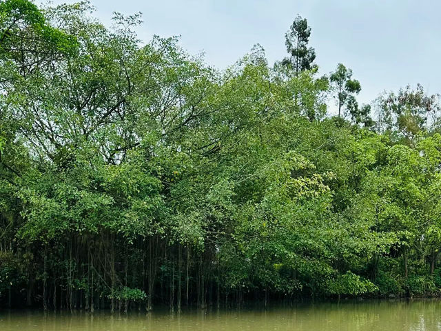 人間仙境，鳥兒樂園，生態攝影愛好者的天堂！