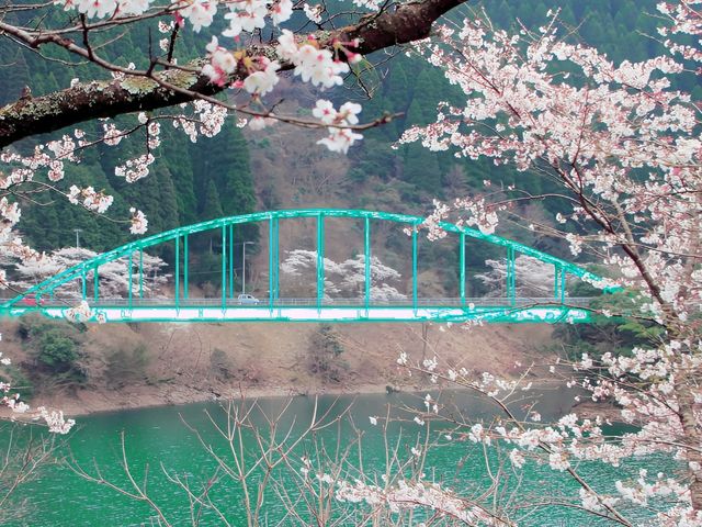 A Blooming Fairy Tale