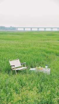 在武漢無人免費大片「海草」露營真香