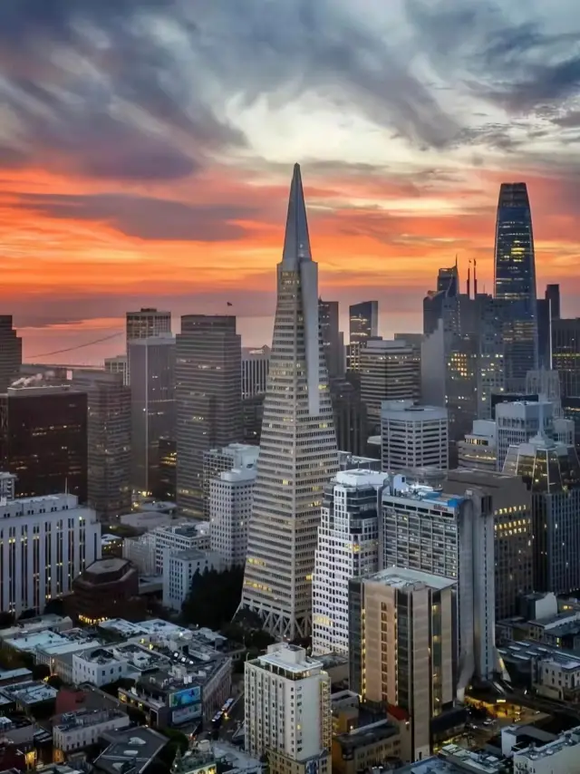 サンフランシスコは自由と憧れに満ちており、しばしばアメリカ人に最も愛される都市と称されています！
