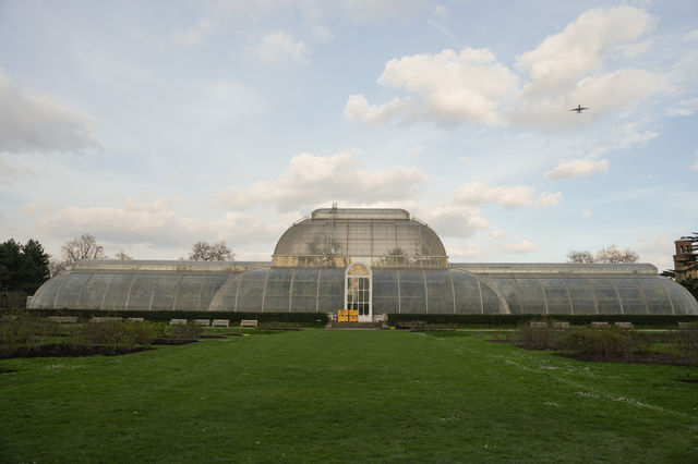 英國皇家植物園Kew Garden 邱園 溫室裡照進一束光