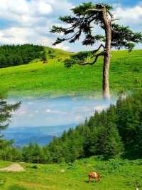 北方的香格里拉…芦芽山景區