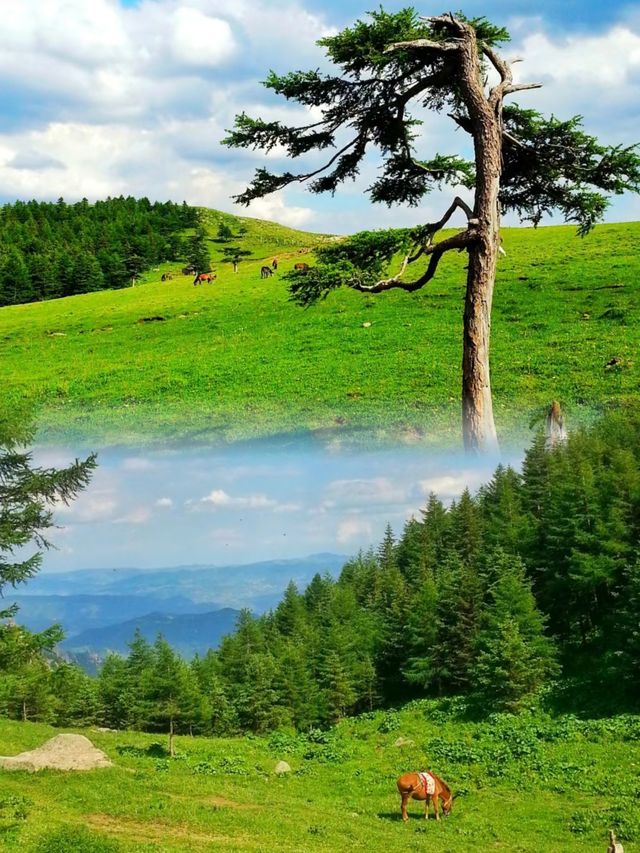 北方的香格里拉…芦芽山景區