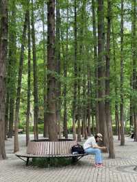 漫遊上海：中山公園，百年公園新變化