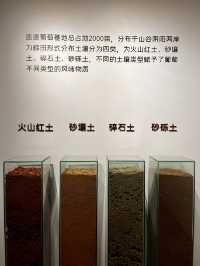 國賓客房後面的大寶藏
