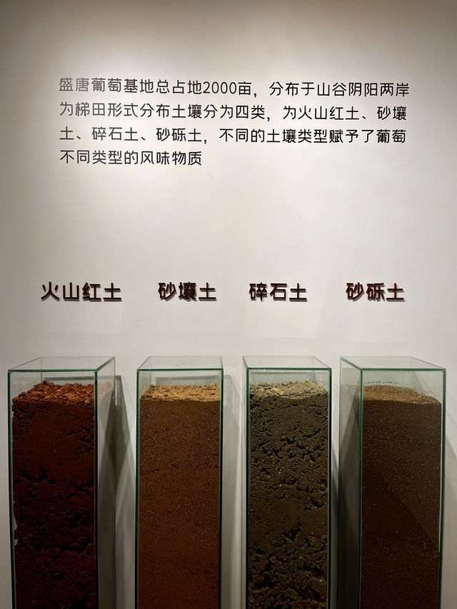 國賓客房後面的大寶藏