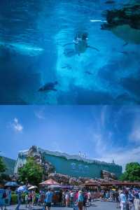 六一遛娃好去處，內附珠海長隆海洋王國攻略