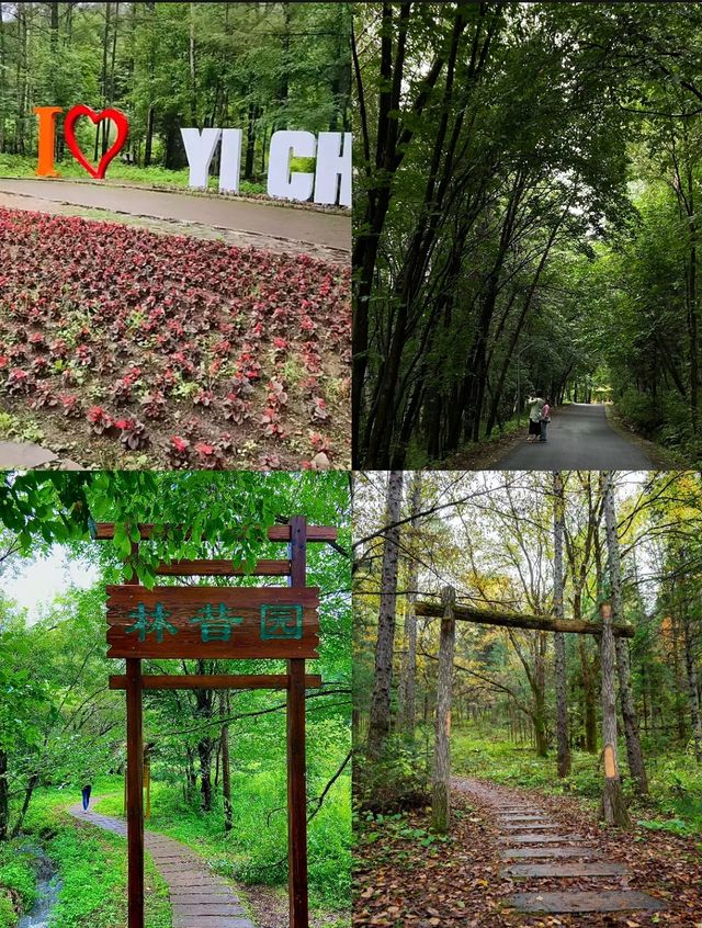 伊春興安國家森林公園，徒步、避暑、遛娃好去處（附攻略）