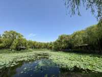 濟南森林公園