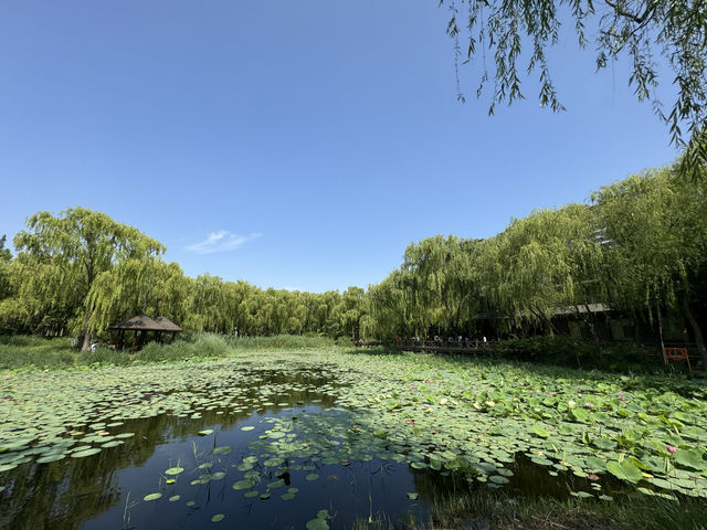 濟南森林公園