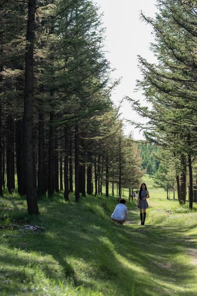 哈達門森林公園|尋覓自然的呼吸