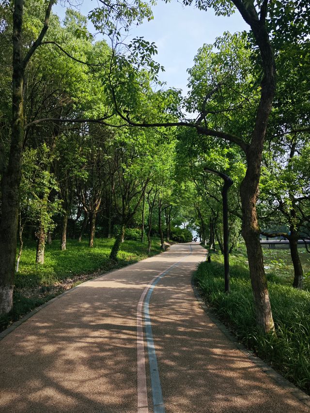 安吉余村一遊