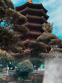 韶關雲門寺一日遊攻略，廣州出發，說走就走！