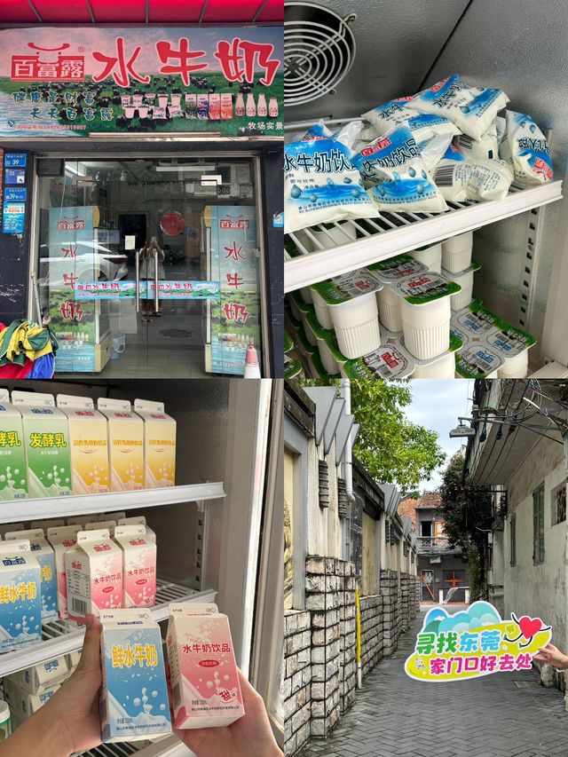 莞城citywalk周末去除班味大作戰