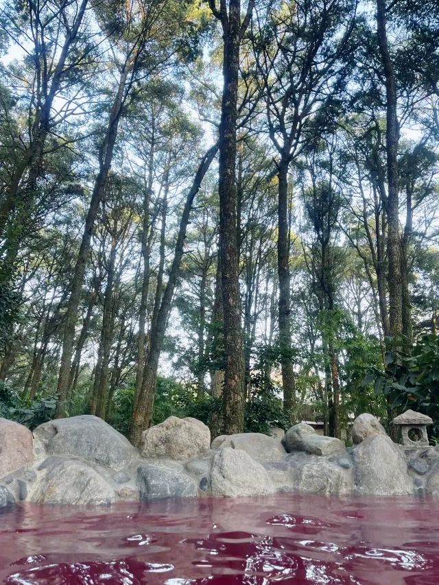泡湯好去處～金方森林溫泉