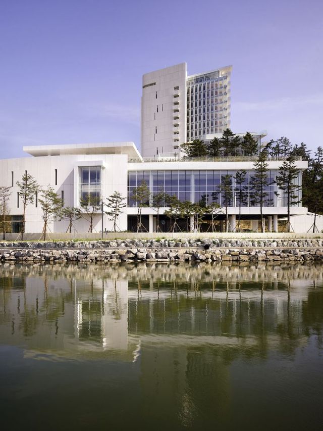 🌊✨ Gangneung's Seamarq Hotel: A Coastal Gem 🏖️🌟