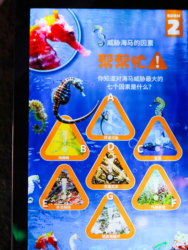 長風公園海洋世界竟然有個海馬酒店