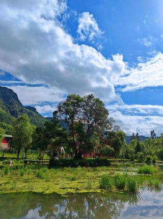 Tourist Guide to Shady Mountain, a Summer Resort