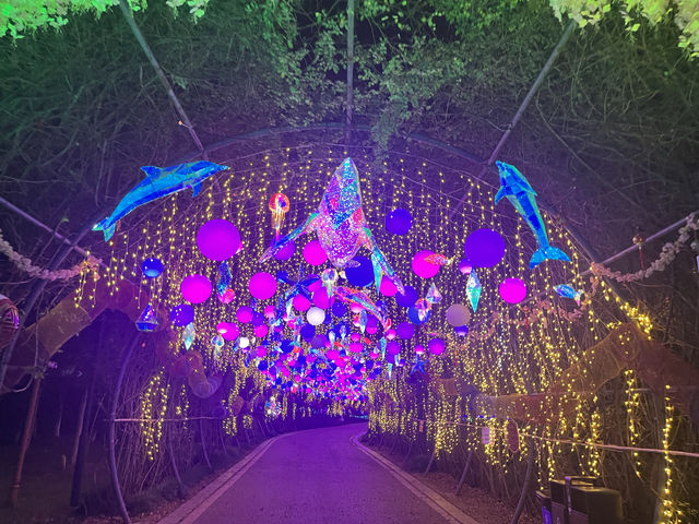 夜遊大陽山，瓊樓花月夜