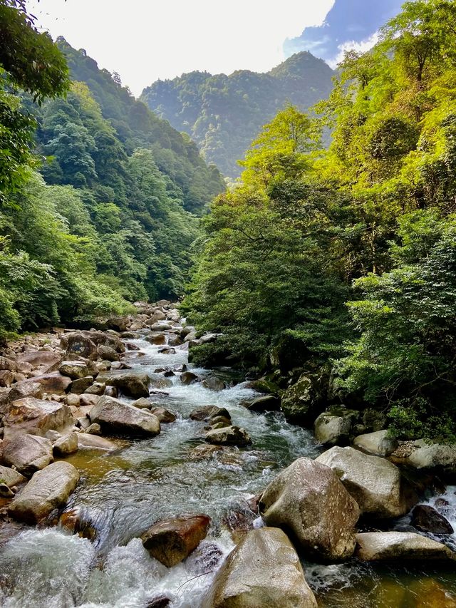 长沙周邊遊 | 株洲神龍谷森林公園