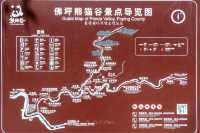 慕名已久吃好喝好-秦嶺深處佛坪“熊貓谷”