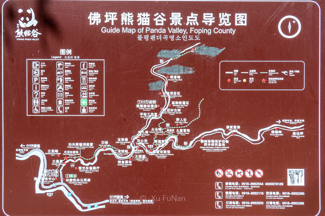慕名已久吃好喝好-秦嶺深處佛坪“熊貓谷”