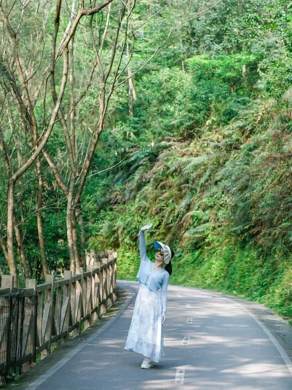 深圳小眾徒步路線，連接公園古鎮的舒適之旅🌳🏘