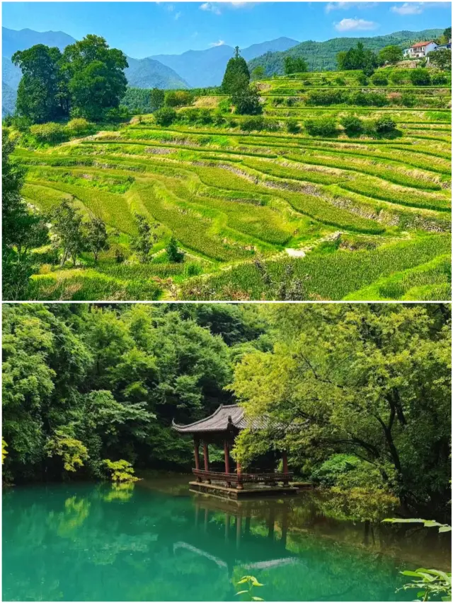 【不是國外，是臨安！解鎖臨安8月全攻略】